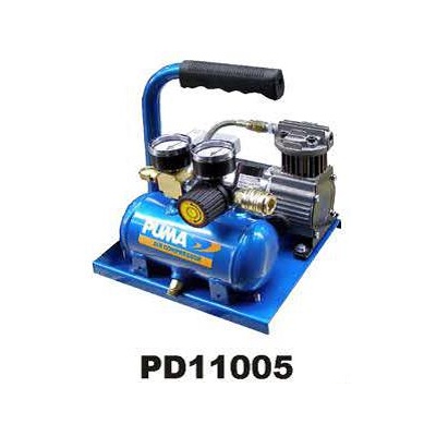 pd11005